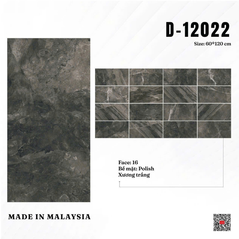 Gạch ốp lát D-12022