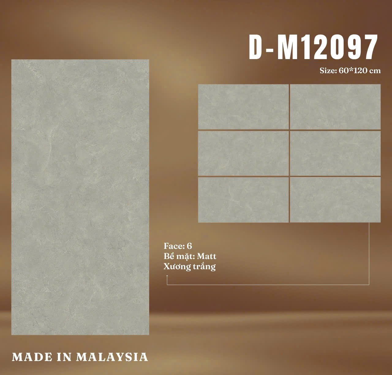 Gạch ốp lát D-M12097